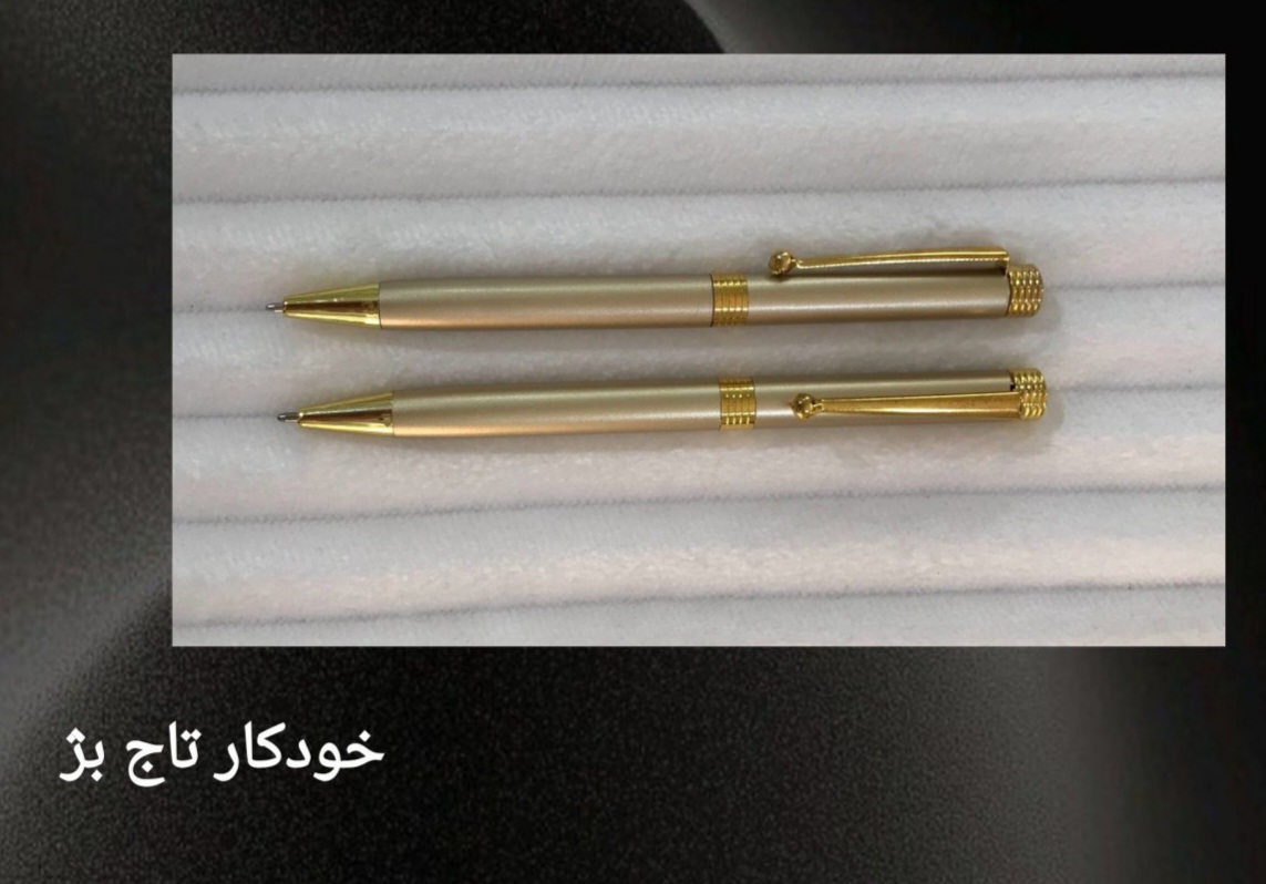 خودکار تاچ دار بژ